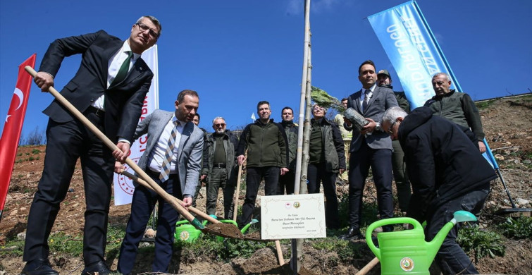 Bursa'da Basın Mensupları Ormanlık Alana Fidan Dikimi Gerçekleştirdi