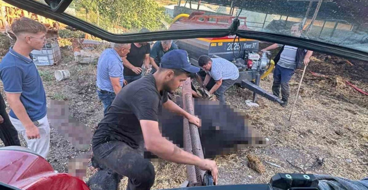 Bursa’da çiftlik yangını nedeniyle 4 büyükbaş hayvan telef oldu