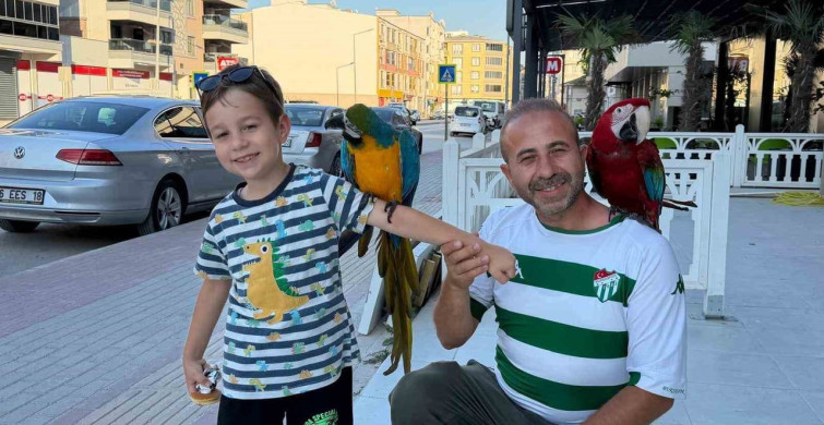 Bursa'da çocukların ilgi odağı olan orhan kahraman ve papağanları