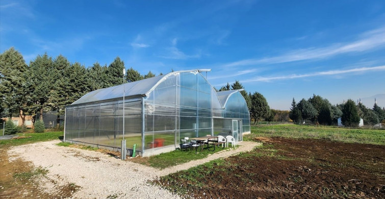 Bursa'da Güneş Enerjisiyle Çalışan Sera Projesi Hayata Geçti