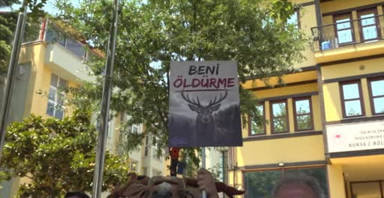 Bursa'da kızıl geyik av ihalesine karşı protesto etkinliği