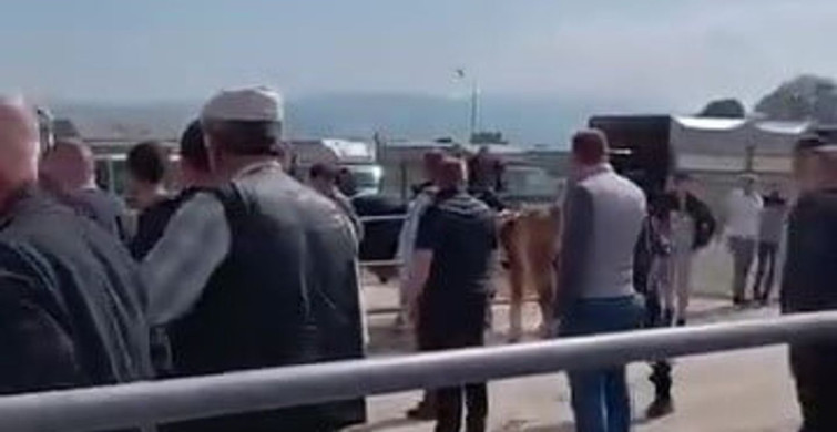 Bursa'da Kurban Pazarında Kavga: Jandarma Müdahalesi Ve Kadın Astsubayın Cesareti