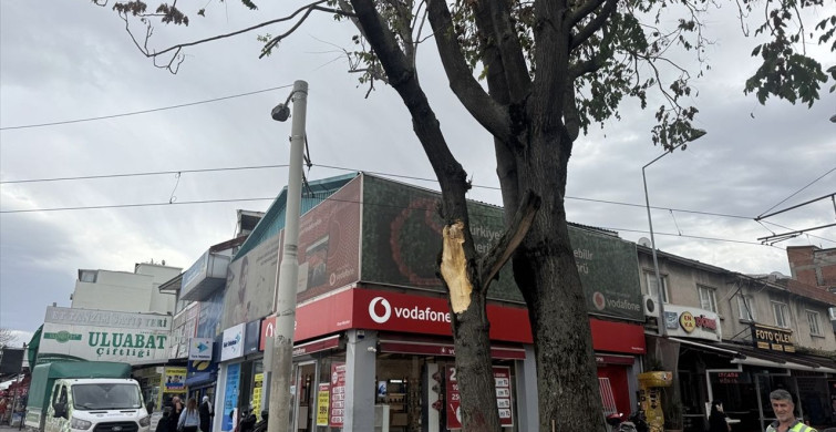 Bursa'da Kuvvetli Lodos Hayatı Olumsuz Etkiledi Bursa'da Kuvvetli Lodos Hayatı Olumsuz Etkiledi