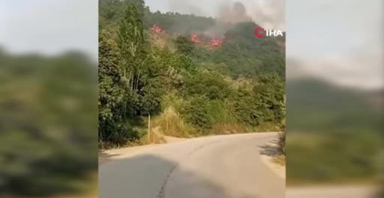 Bursa'da Makilik Alanda Yangın Çıktı
