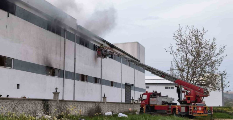Bursa'da Mobilya Fabrikasında Yangın Paniği