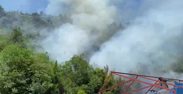 Bursa'da ormanlık alanda çıkan yangın korkuttu