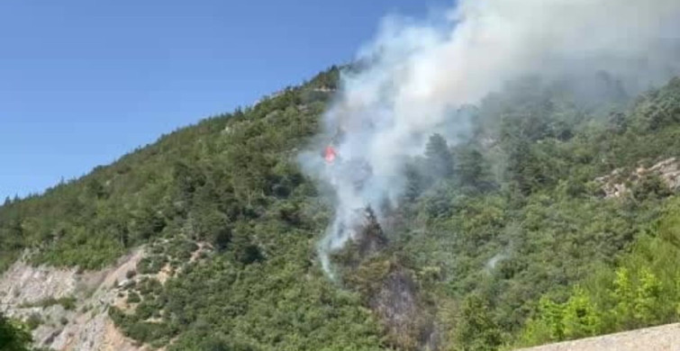 Bursa'da ormanlık alanda yangın