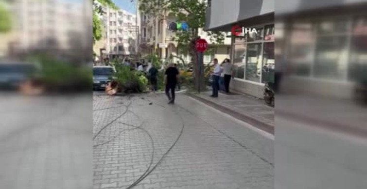 Bursa'da Seyir Halindeki Araçların Üzerine Ağaç Devrildi: 1 Yaralı