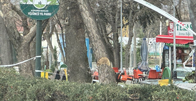 Bursa'da Şiddetli Rüzgar Hayatı Olumsuz Etkiliyor