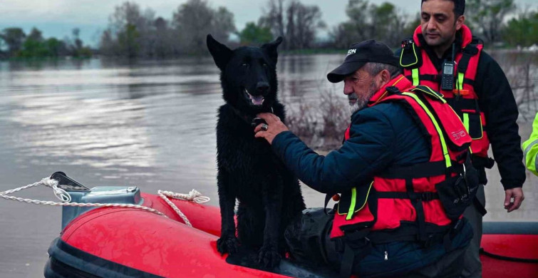 Bursa'da Su Taşkınında Mahsur Kalan İki Köpek Kurtarıldı