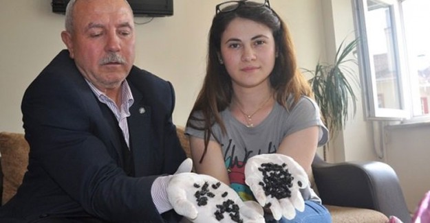 Bursa'da Tanımlanamayan Böcek Türünün Ne Olduğu Ortaya Çıktı