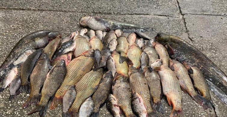 Bursa’da Yasakları Görmezden Gelen Kaçak Avcılara Ceza Kesildi