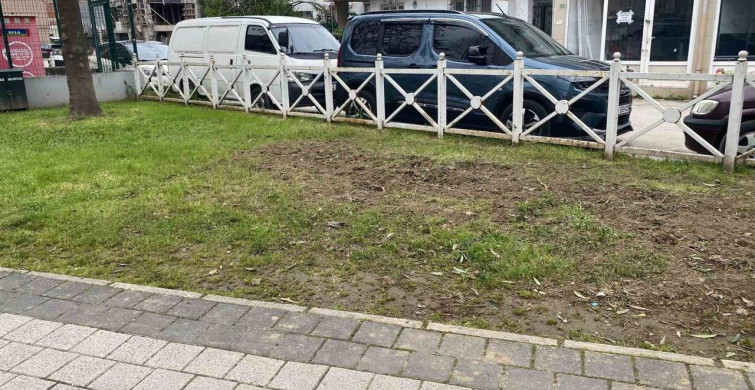 Bursa'da Zehirli Bitki Tehlikesi: Çocuk Hastanelik Oldu