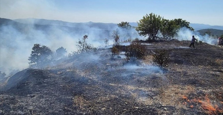 Bursa'daki Orman Yangınına Müdahale Ediliyor