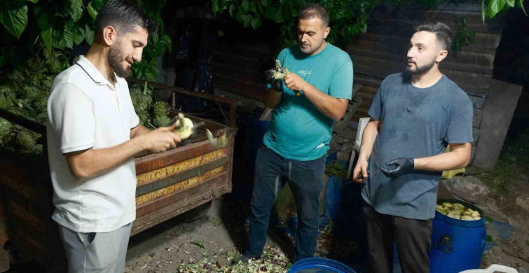Bursa'nın Enginar Soyucuları: Ailece Geçim Kaynağı