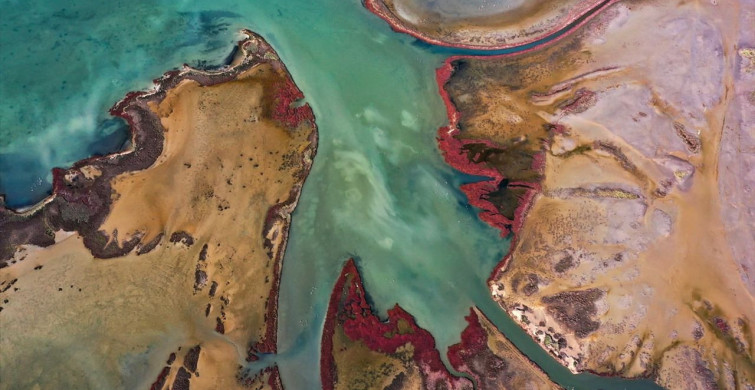 Büyük Menderes Deltası: Yaban Hayatının Kalbi