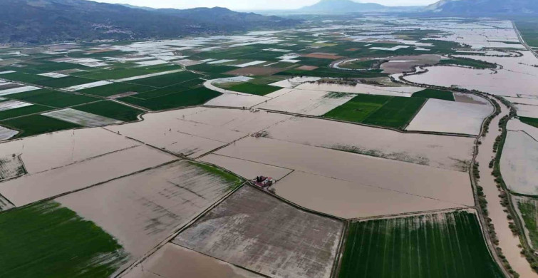 Büyük Menderes Nehri Taşarak Tarım Arazilerini Sular Altında Bıraktı