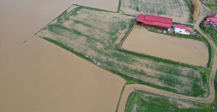 Büyük Menderes Nehri'nde Taşkın: Aydın'da Tarım Arazileri Su Altında Kaldı