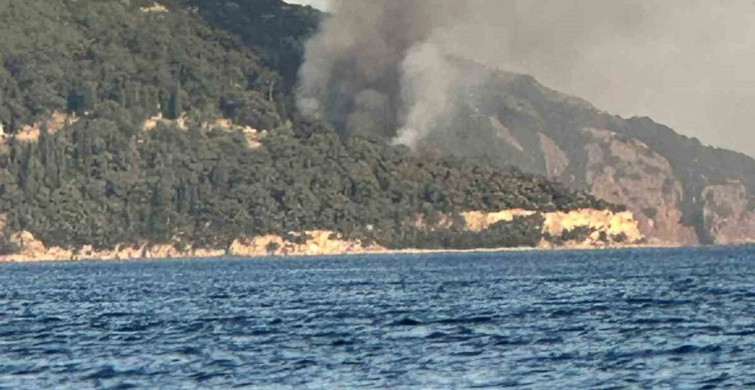 Büyükada'da plajda çıkan yangın paniğe neden oldu