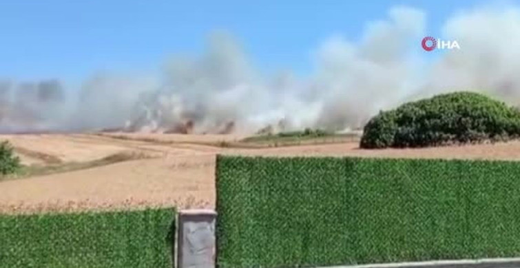 Büyükçekmece Çakmaklı Mahallesi'nde ot yangını çıktı