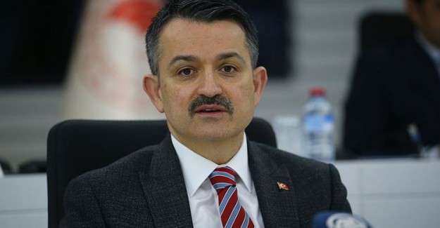 Buzağı Destek Ödemeleri 24 Nisan'da Başlıyor