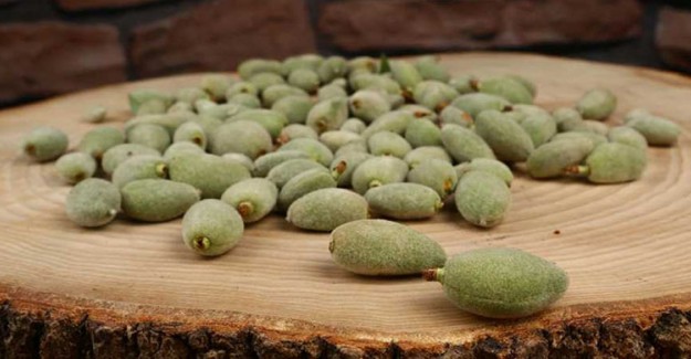 C Vitamini Bombası Çağla Bademi Binbir Derde Deva 