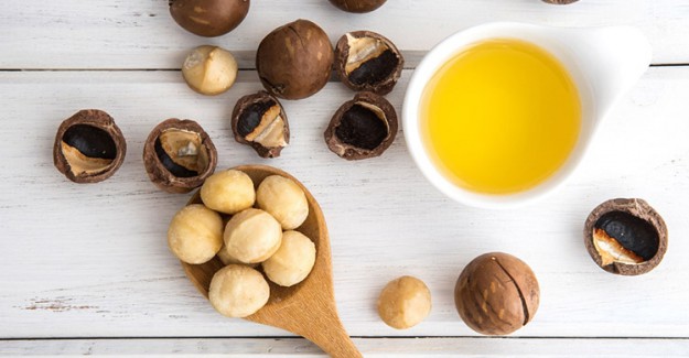 Cadı Fındığı Yağı Nedir? Cadı Fındığı Yağının Faydaları Nelerdir?