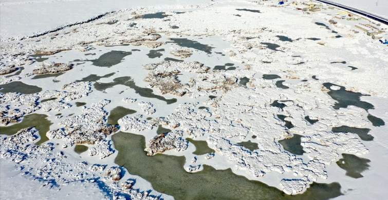 Çalı Gölü Dondu: Afrika'dan Rusya'ya Göç Eden Kuşların Güzergahındaki Doğa Harikası