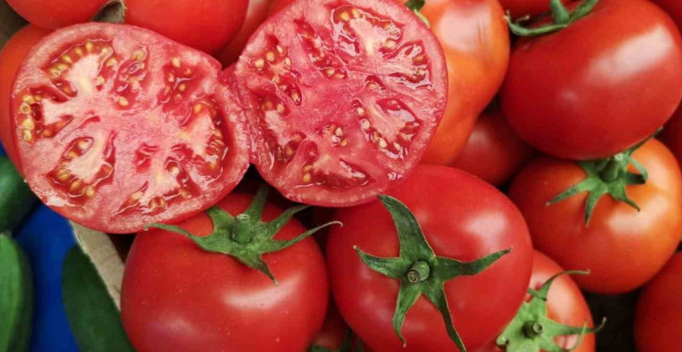 Çanakkale, 58 farklı üründe üretim miktarı bakımından ilk 10'da