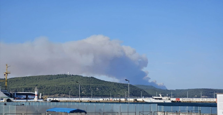 Çanakkale Gelibolu'da Orman Yangınına Hızla Müdahale Ediliyor
