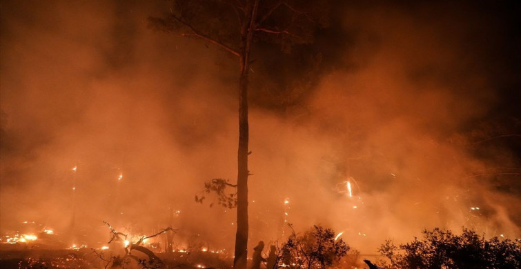 Çanakkale Gelibolu'da Orman Yangınına Hızla Müdahale Ediliyor