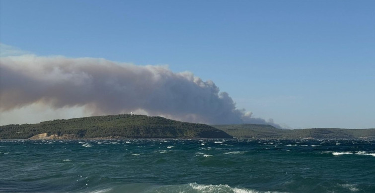 Çanakkale Gelibolu'da Orman Yangınına Müdahale Devam Ediyor