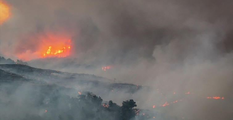 Çanakkale Gelibolu'daki Orman Yangını Devam Ediyor
