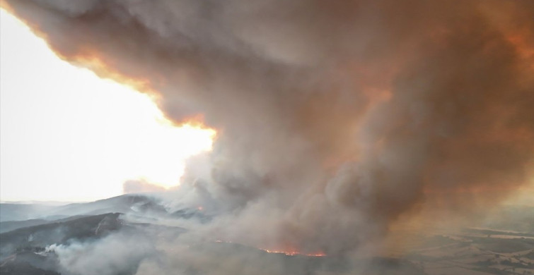 Çanakkale Gelibolu'daki Orman Yangınına Müdahale Devam Ediyor