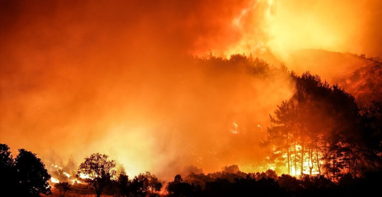 Çanakkale Gelibolu'daki Orman Yangınına Müdahale Devam Ediyor