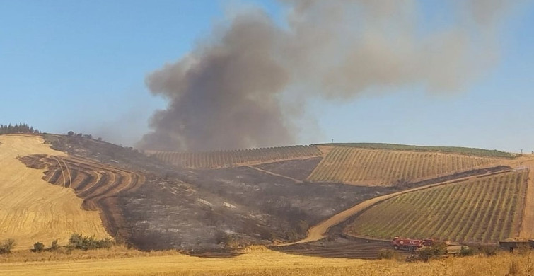 Çanakkale Gelibolu'daki Tarım Arazisi Yangını Kontrol Altına Alındı