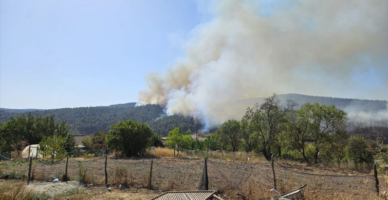 Çanakkale Gelibolu'daki Yangına Müdahale Devam Ediyor