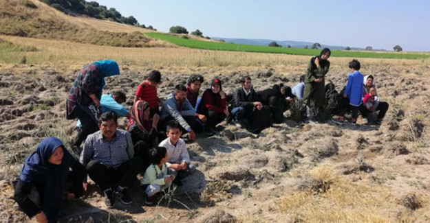 Çanakkale’de 73 Kaçak Göçmen Yakalandı