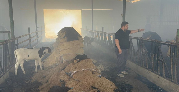 Çanakkale'de Ahır Yangını Kontrol Altına Alındı
