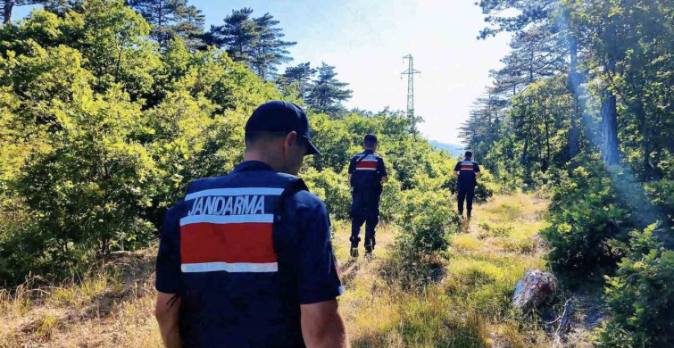 Çanakkale'de jandarma ekipleri orman yangınlarına karşı sahada