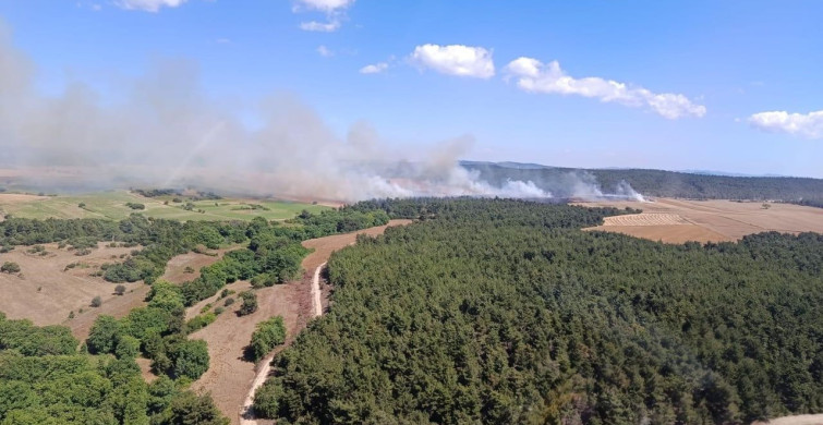 Çanakkale'de tarım arazisinde başlayan yangın ormanlık alana sıçradı