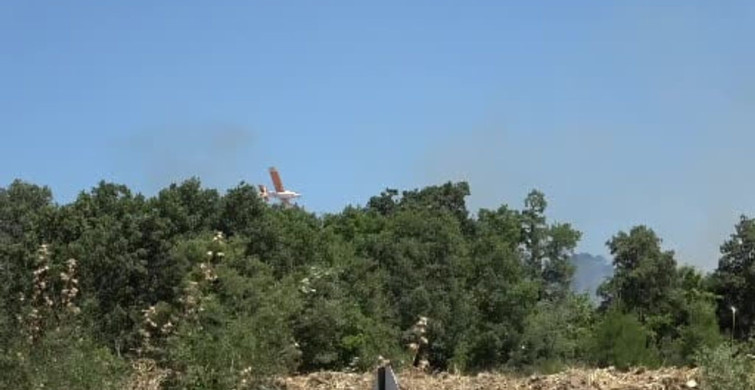 Çanakkale’de tarım arazisinde çıkan yangın kontrol altına alındı