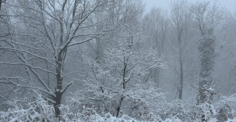 Çanakkale'de Yüksek Kesimlerde Kar Yağışı Etkili Oldu