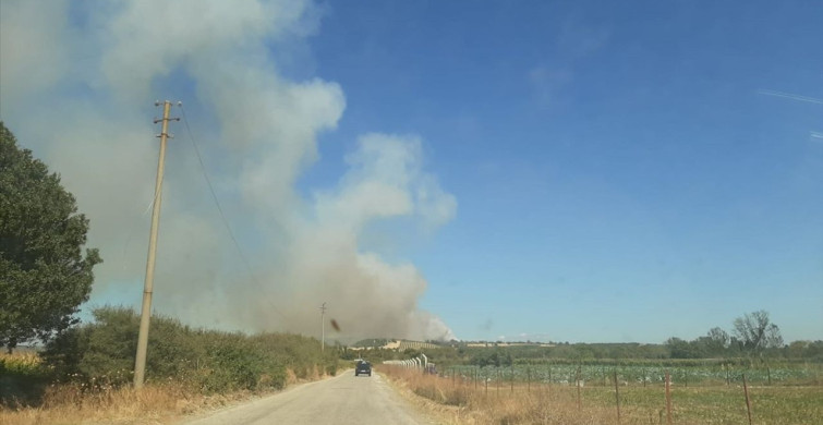 Çanakkale'de Zeytinlikten Ormana Sıçrayan Yangın Kontrol Altında