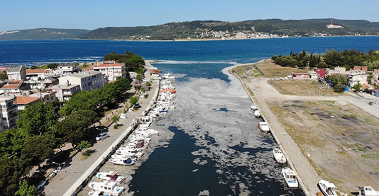 Çanakkale’deki Deniz Salyaları Vatandaşı Tedirgin Etti