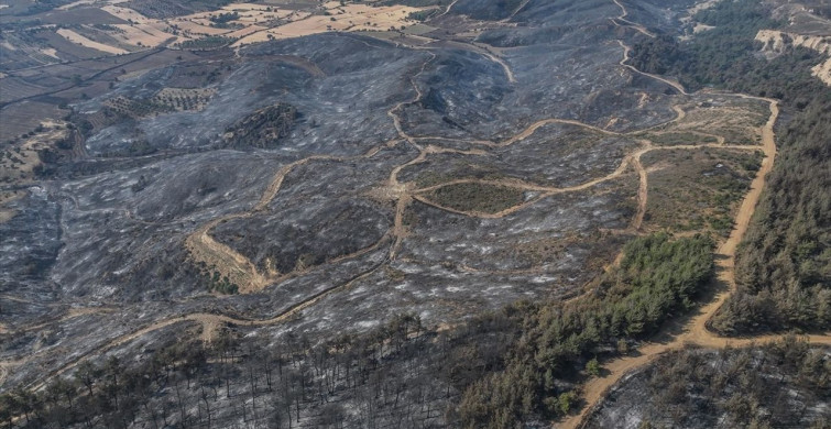 Çanakkale'deki Orman Yangını Havadan Görüntülendi
