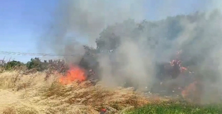 Çanakkale'nin Ezine ilçesinde tarım arazisinde yangın