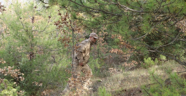 Çankırı'da Kaybolan 82 Yaşındaki Kadın İçin Arama Çalışmaları Devam Ediyor