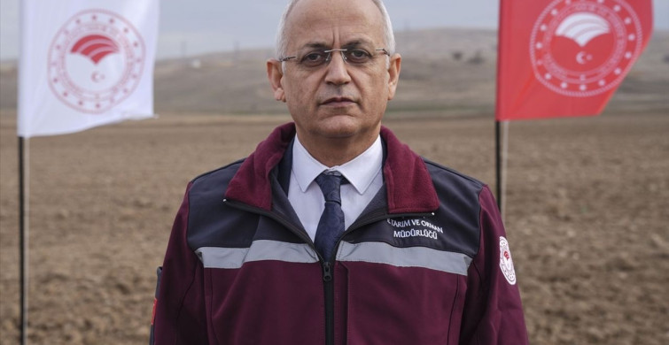 Çankırı'da Kuraklığa Dayanıklı Tohum Denemeleri