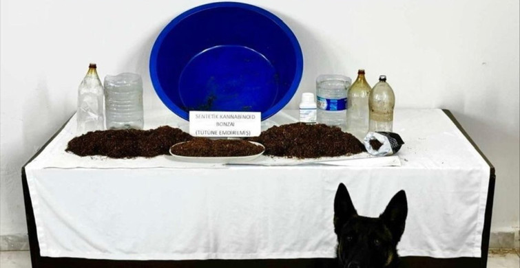 Çankırı'da Uyuşturucu Operasyonu: 12 Yabancı Uyruklu Zanlı Yakalandı